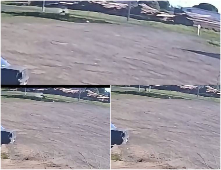 Hombre murió al instante por impactar de lleno contra cartel en ruta 5; todo quedó grabado
