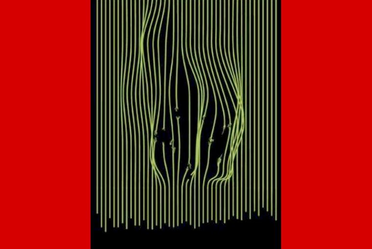 La Comedia Nacional presenta una nueva producción de La casa de Bernarda Alba, con versión y dirección de Amelia Ochandiano