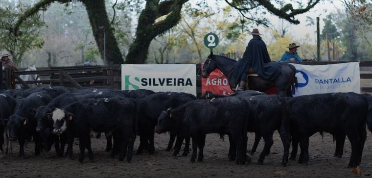 Declararon concurso para empresario agropecuario y advierten: “Van a llover las denuncias”