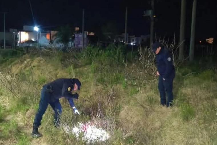 Delincuentes robaron un drugstore de la región pero la policía recuperó parte del botín